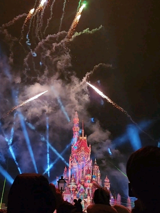Disney Dreamland✨🏰🎢