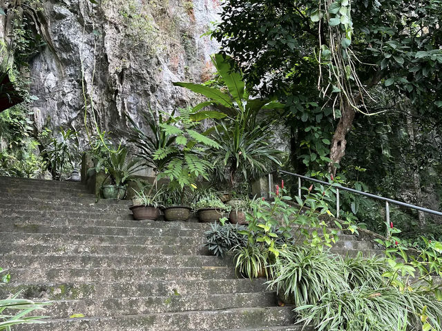 Phong Nha - Ke Bang National Park Phong Nha - Ke Bang National Park
