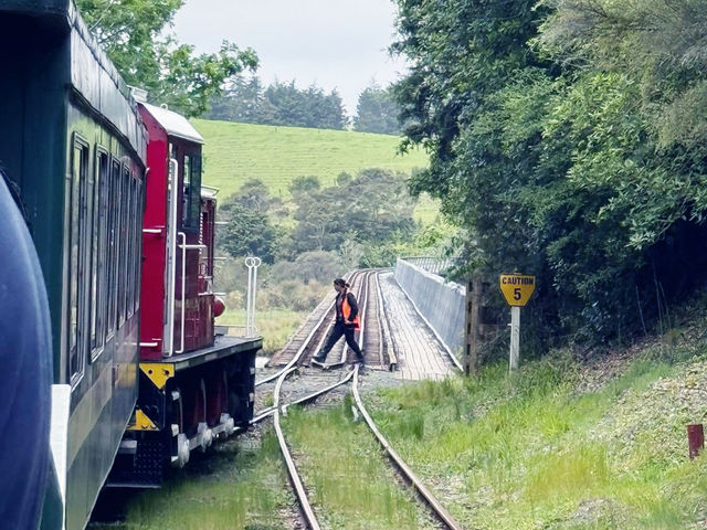 New Zealand Adventures : From Islands to Iconic Shores