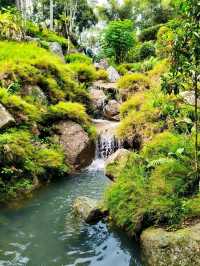 Discover Botanical Wonders🌱Japanese Style Village
