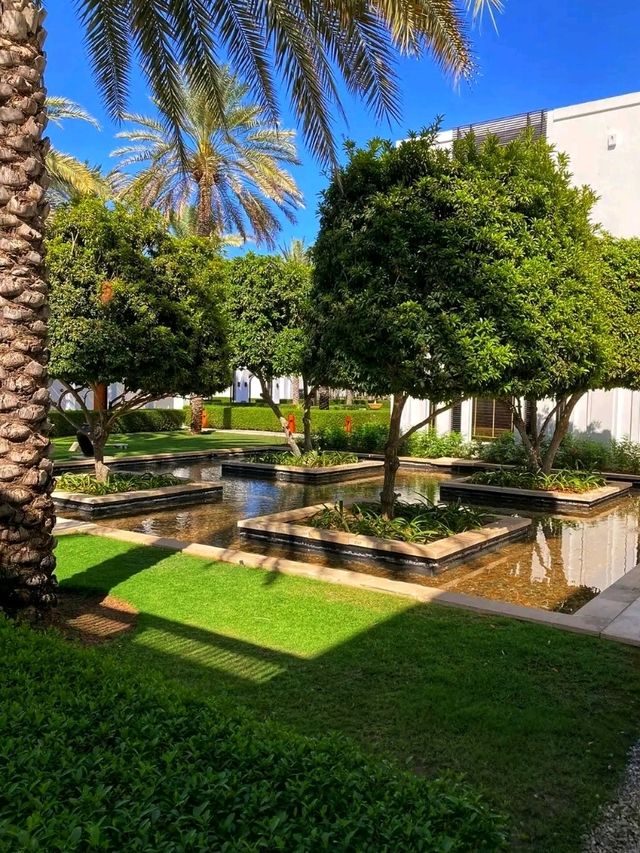 🌴 Muscat Escape: Luxury Stay & Qurum Delights ✨