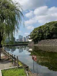 THE IMPERIAL PALACE.
