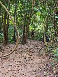 น้ำตกสลัดได | นครนายก