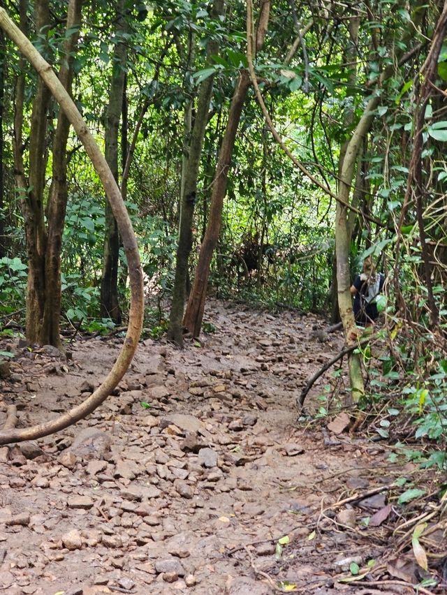 น้ำตกสลัดได | นครนายก น้ำตกสลัดได | นครนายก