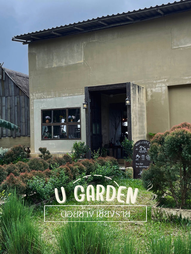 U Garden ดอยช้าง เชียงราย 