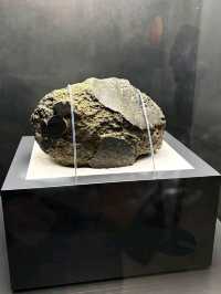 去大阪Expo無理由唔去日本館