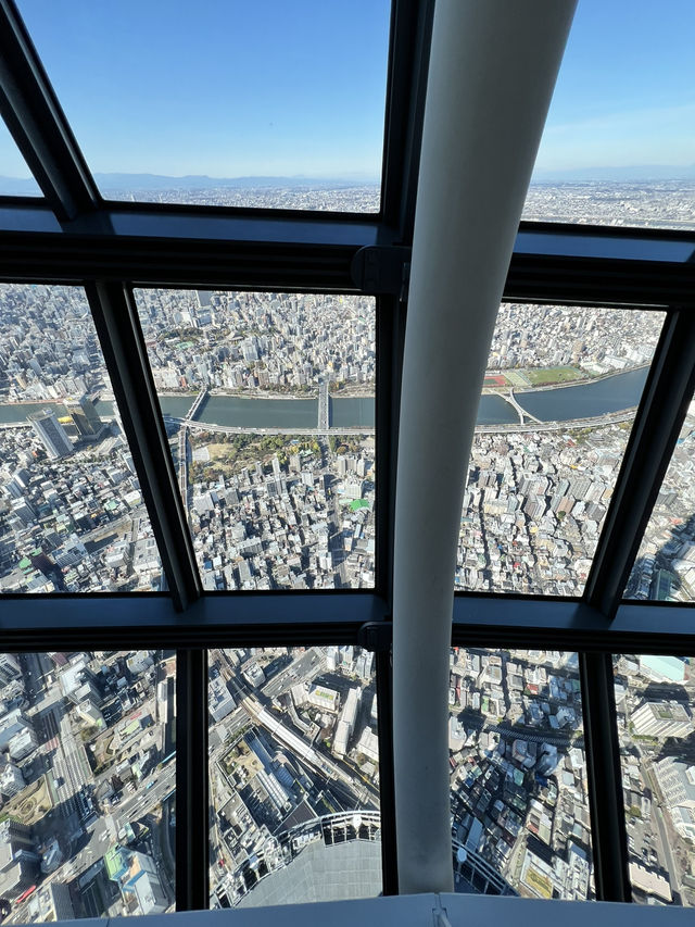 Tokyo Skyline Magic🍦  