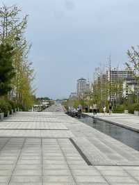 Confucius City Magic✨  