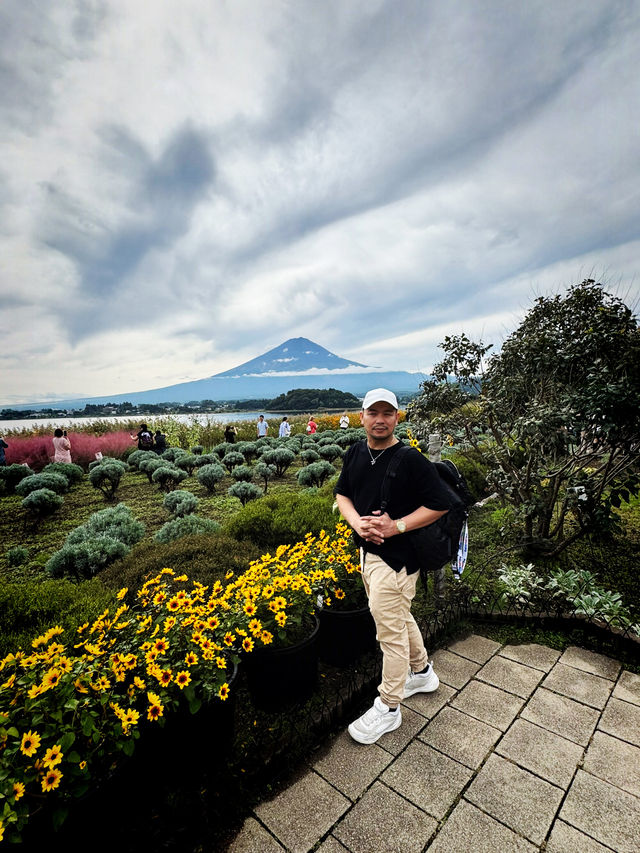 Oishi Park Vibes🌻Trip.Com Day Trip Tour 