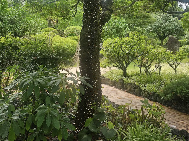 Jeju herb garden