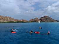 Komodo Wonders🌿 One Day Trip