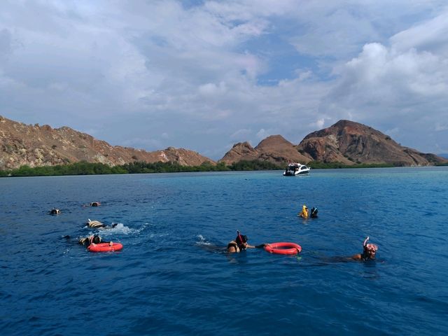 Komodo Wonders🌿 One Day Trip