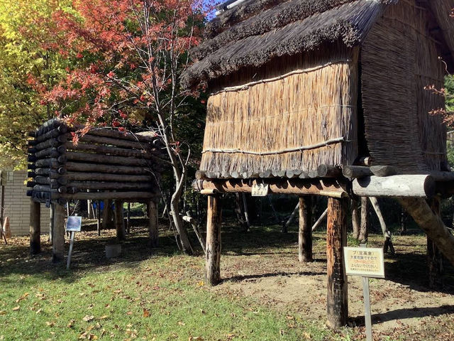 🪶❄️ Discover Heritage at Sapporo Ainu Culture Promotion Center 🌲✨ 🪶❄️ Discover Heritage at Sapporo Ainu Culture Promotion Center 🌲✨