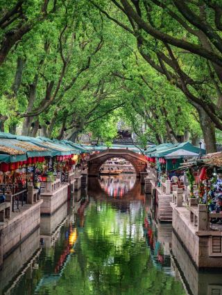 🏯 蘇州同里古鎮 🇨🇳

📍同里古鎮位於江蘇省蘇州市吳江區，坐落在太湖之畔。這座古鎮擁有超過千年的歷史，可追溯至宋代。

🌟鎮內最引人注目的是一條蜿蜒流經的小河，河中形成了七座小島，島上架設著49座古橋。同里古鎮周圍保存大量明清時期的民居、寺廟和府邸，是省級自然保護區和旅遊勝地。它被評為5A級旅遊景點，並入選2018年“中國20大旅遊景點”榜單。 😍

如果您喜歡漫步，感受寧靜祥和的氛圍，體驗經典中國鄉村風情，千萬不要錯過這裡！ 🩵

#中國旅行團 #9journey #9journeythailand #9journeychina #Chinatravel #China

📸 圖片來源：作者 Moor 撰寫了這本書，Eli 和 Ada 也撰寫了這本書。