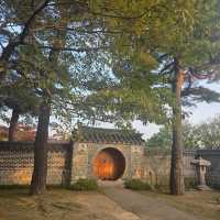 단풍 보러가기 좋는 용인 가을여행지 호암미술관