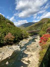 🍁✨โอซาก้า (Osaka)” ฤดูใบไม้เปลี่ยนสี