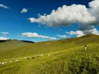 ［モンゴル］子どもに体験させたい！