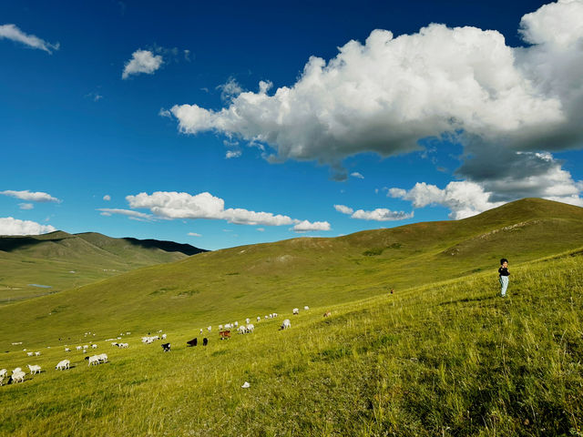 ［モンゴル］子どもに体験させたい！