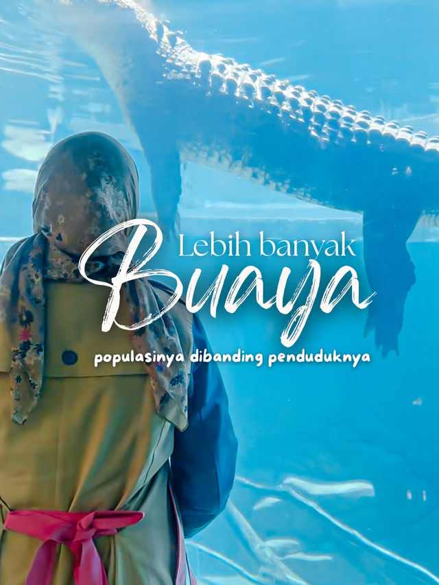 Ternyata begini jelajah kota DARWIN✈️