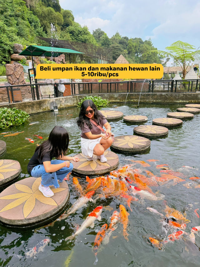 Budget Main di Lembang Park Zoo