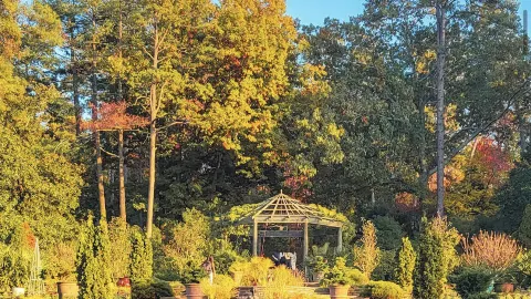 Vườn Sarah P. Duke — traveler post in Durham