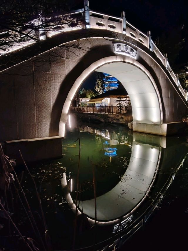 Wunvzhou: Dreamlike Water Town Night