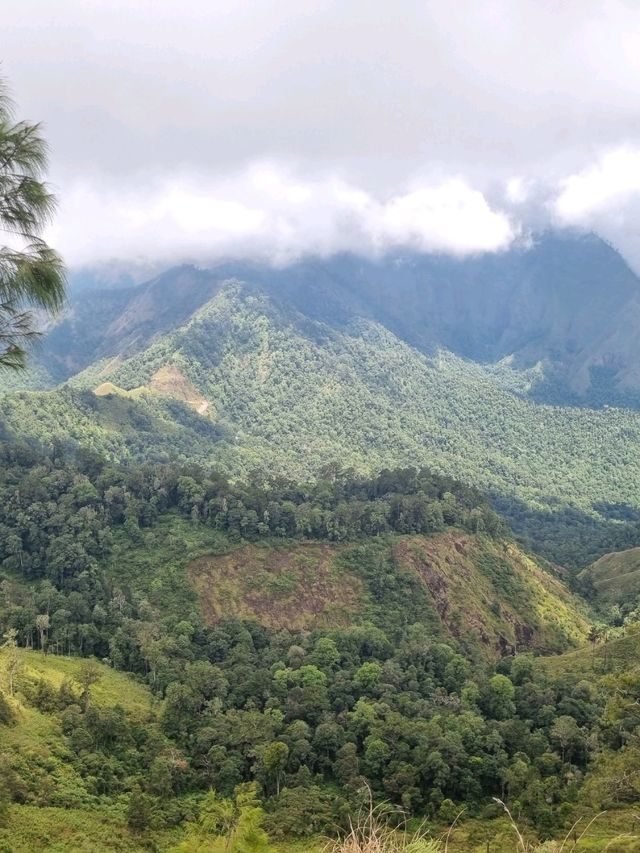 Vibrant Day Out🌸 Vibrant Day Out🌸