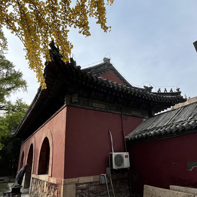 Calm Before the Climb: The Perfect Taishan Trio