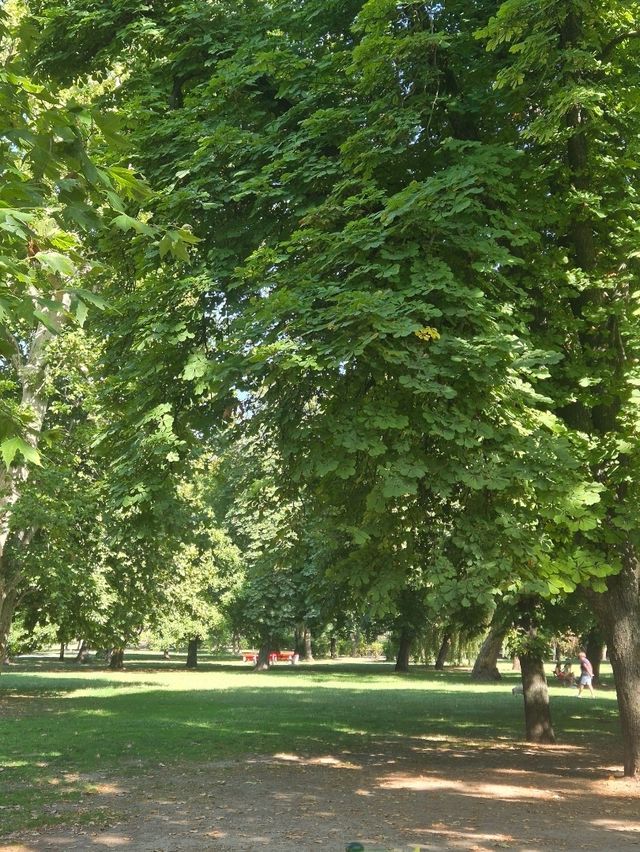 헝가리 부다페스트 여행 : 자유로운 city park 🇭🇺