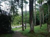 A Breath of Fresh Air: Finding Tranquility in Putrajaya’s Wetland Park