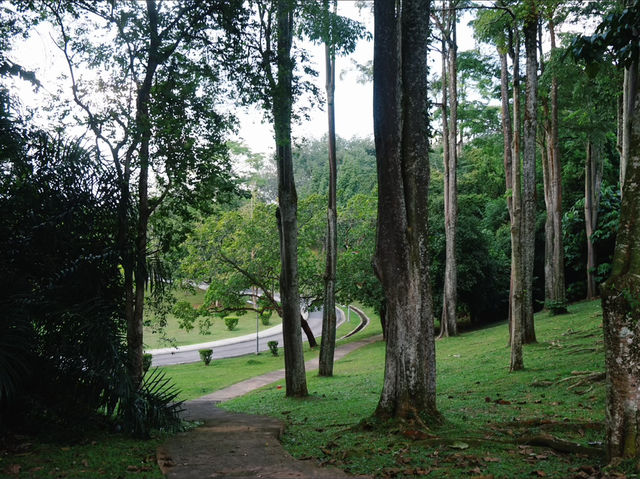 A Breath of Fresh Air: Finding Tranquility in Putrajaya’s Wetland Park A Breath of Fresh Air: Finding Tranquility in Putrajaya’s Wetland Park
