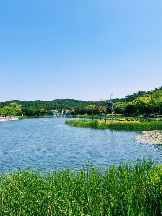 도심 속 자연에게 온전히 기대는 국내 여행 한 페이지