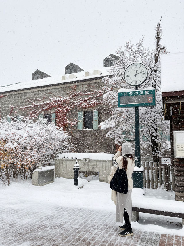홋카이도 오타루의 겨울