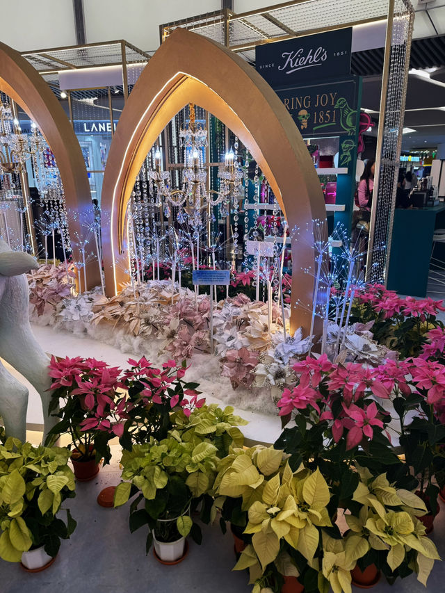 Festive Joy 🎄 Festive Joy 🎄