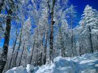 Winter Dreamland in Datudingzi Mountain ❄️🧊☃️♥️