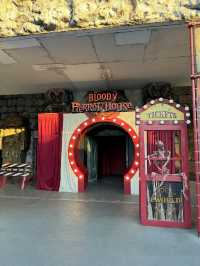 Park Magic Unveiled🌙