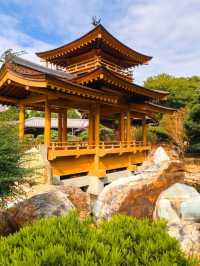 A Tang Dynasty Dream in Diamond Hill