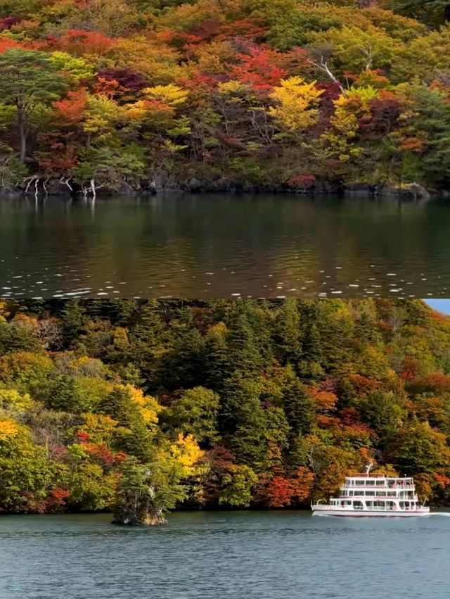 深秋絕景!十和田湖游船仿佛駛入油畫世界🍁 深秋絕景!十和田湖游船仿佛駛入油畫世界🍁
