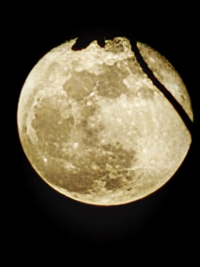 The Bund, Shanghai: A Timeless Riverside Icon