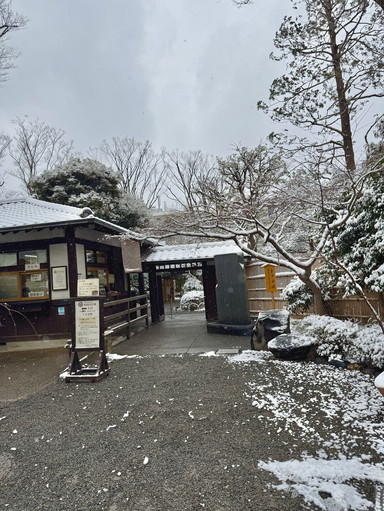 ☃️ Winter Quiet in a Historic Tokyo Garden | Trip.com Tokyo