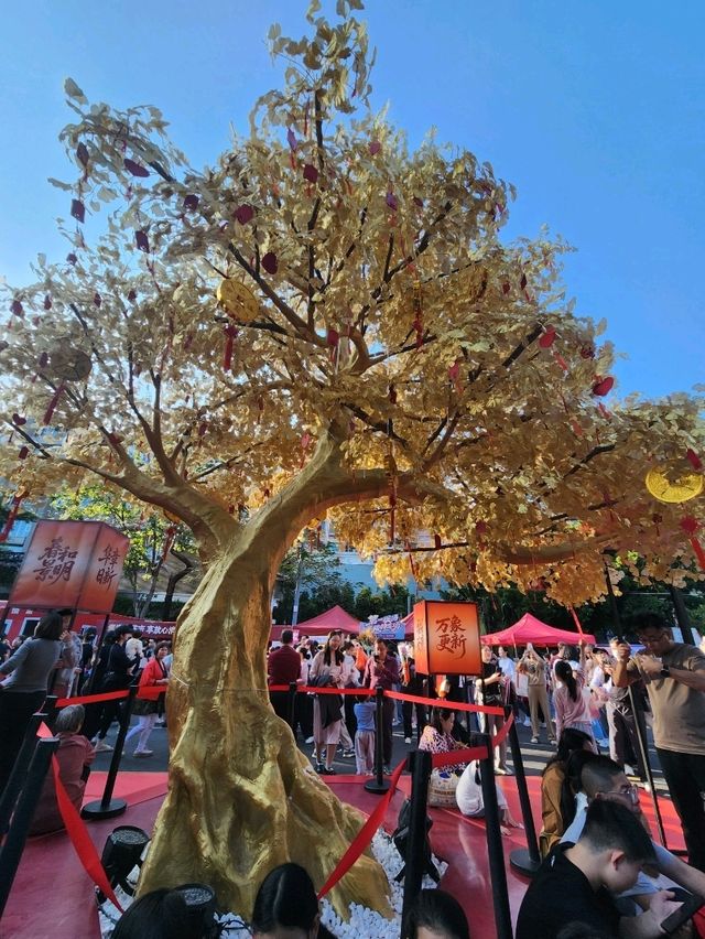 深圳新春賞燈花市必打卡✨