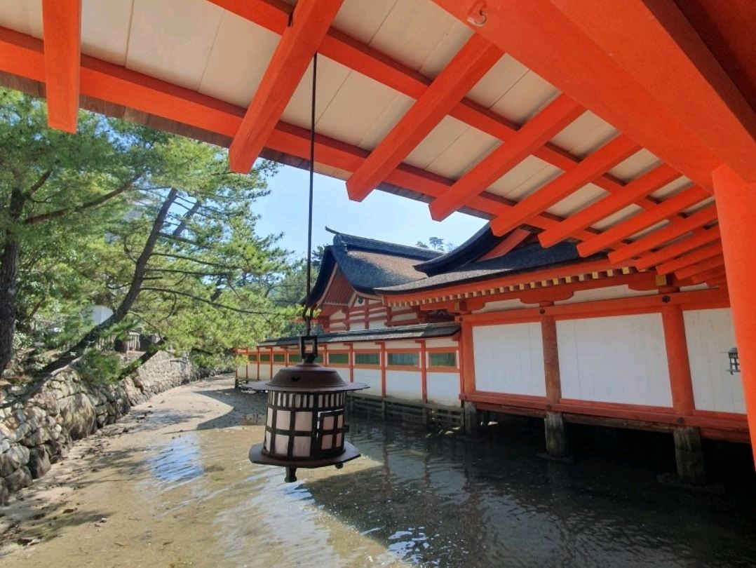 宮島での約束：海上鳥居の癒やし、残念なポケモン、そして思いがけず