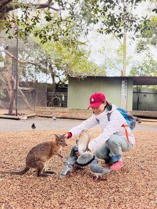 Featherdale Sydney Wildlife Park: Your Ultimate Aussie Wildlife Day Out! 🐨