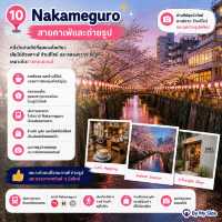 🇯🇵 Tokyo พักย่านไหนดี? เลือกให้ตรงสไตล์คุณ