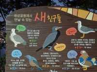 สัมผัสธรรมชาติรอบตัวและชมนกนานาพันธุ์@Saeseom Island,Jeju Isliand