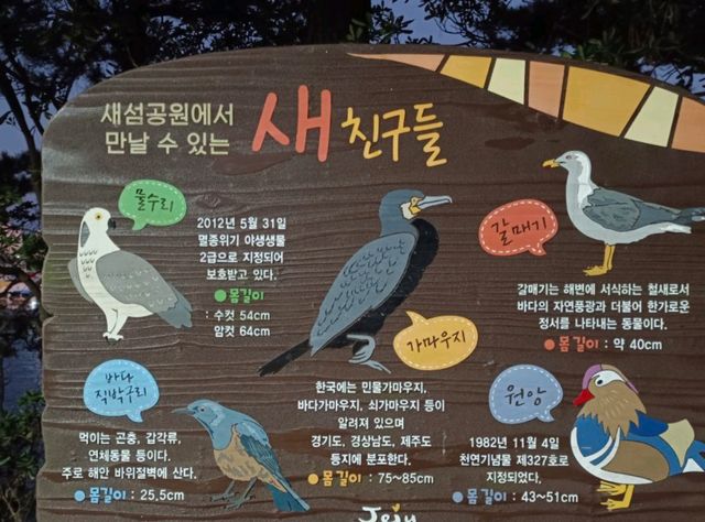 สัมผัสธรรมชาติรอบตัวและชมนกนานาพันธุ์@Saeseom Island,Jeju Isliand