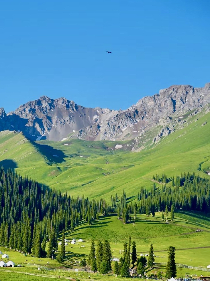 Switzerland’s Most Breathtaking Natural Scenery Revealed! 🇨🇭✨