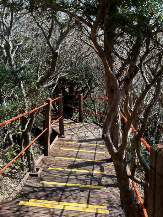 ハルラサン（漢拏山）のオスンセンアク（御乗生岳）山頂 。 | Trip.com