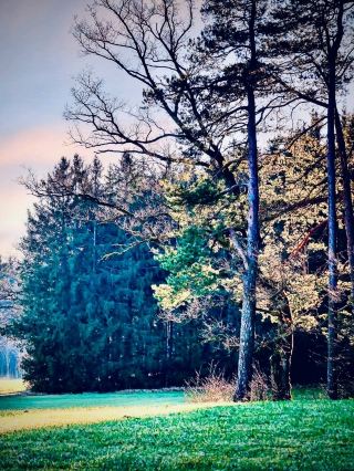  Ireland Adare Desmond Castle to Monastery Mills Thatched Street Cream Lane — €10 Castle Tour or Fre