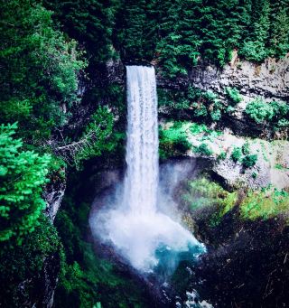 日本・四国 石鎚山トレイル 苔むした高山の稜線。